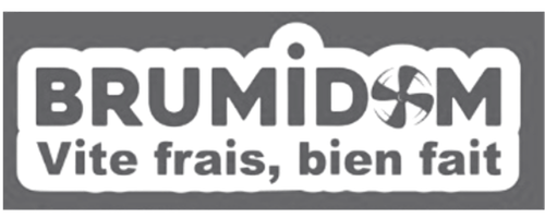 Logo Brumidom