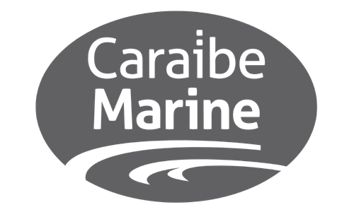 Logo Cara